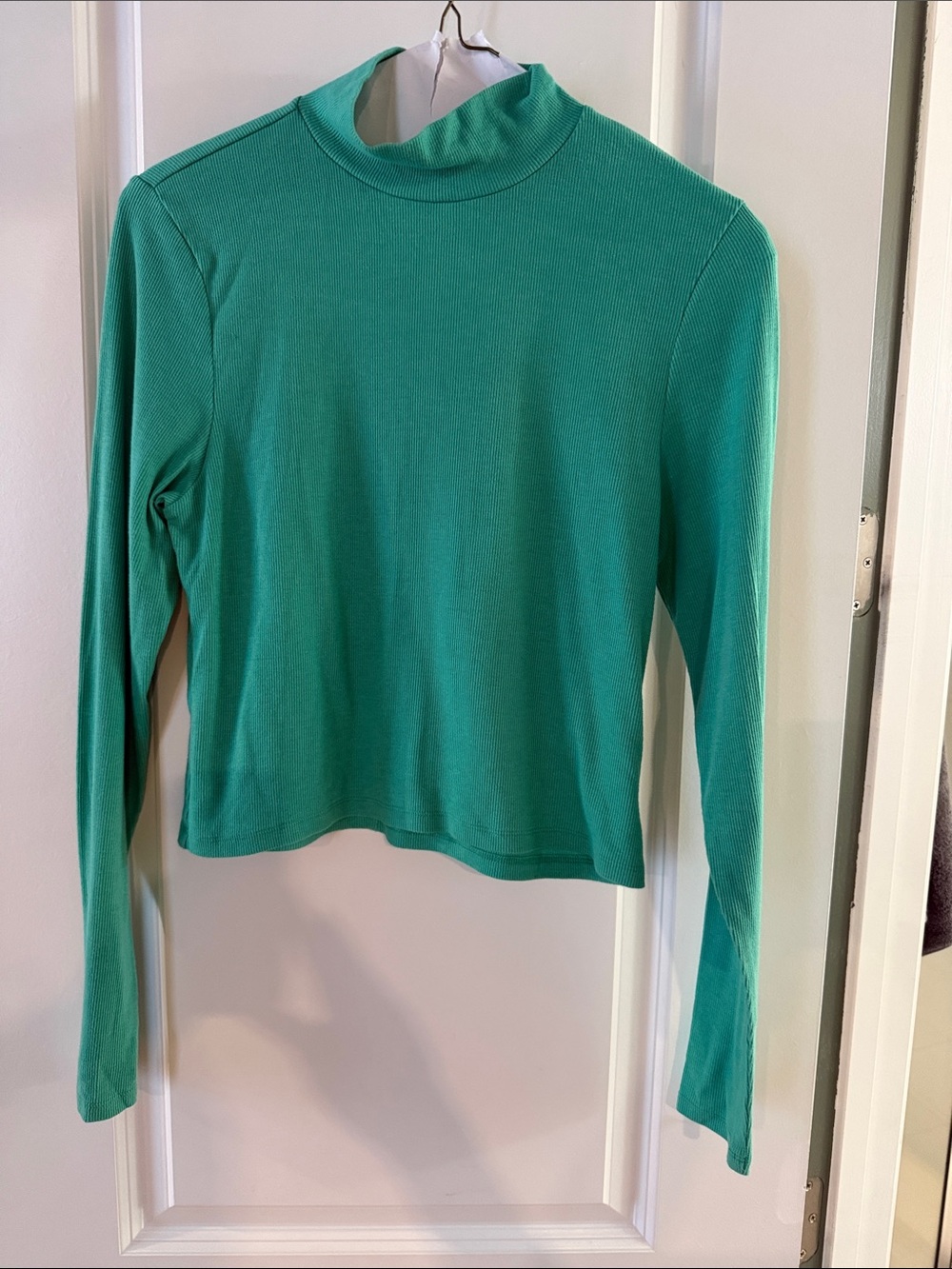 American Eagle Outfitters Teal Mock Neck Long Sleeve Top